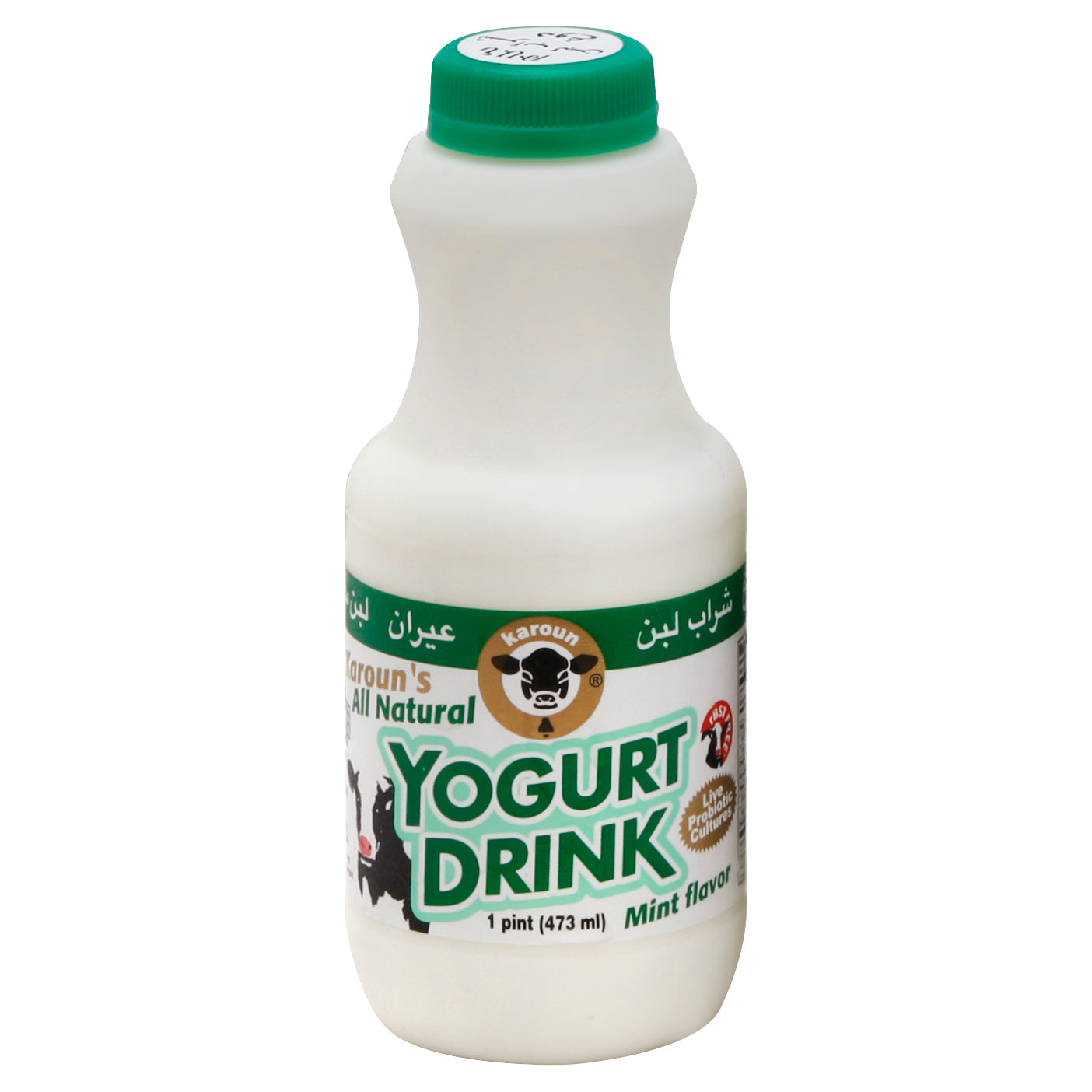 Karoun Yogurt Drink 1 pt - Mint