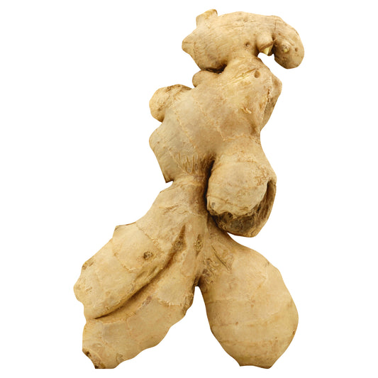 Organic Ginger - 4oz