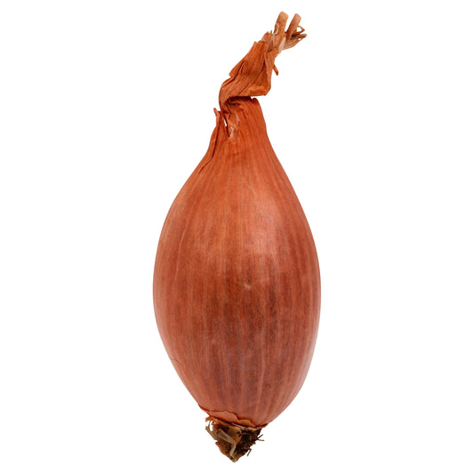 Onion Shallots
