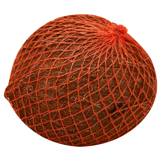 Mexican Coconut