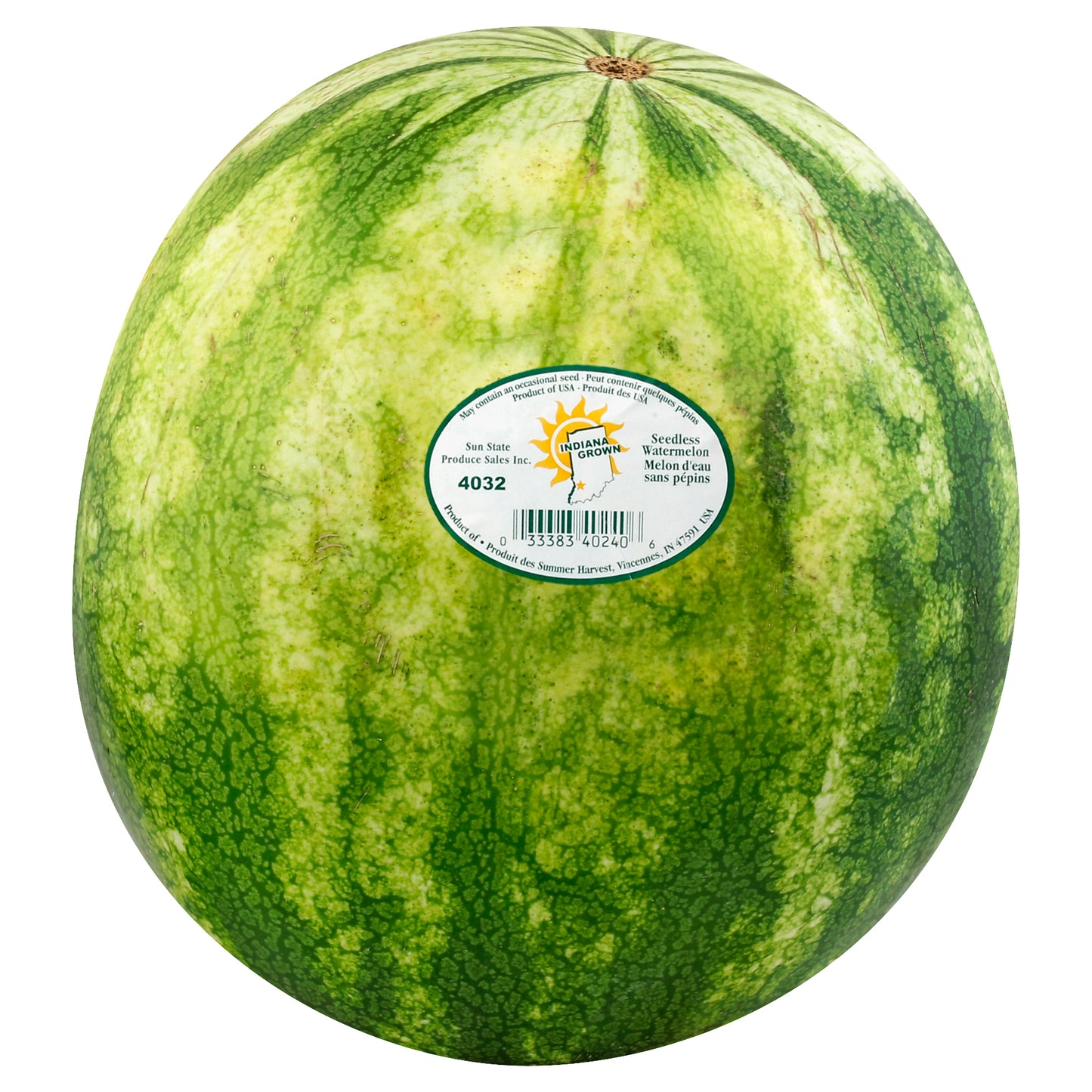 Big Watermelon