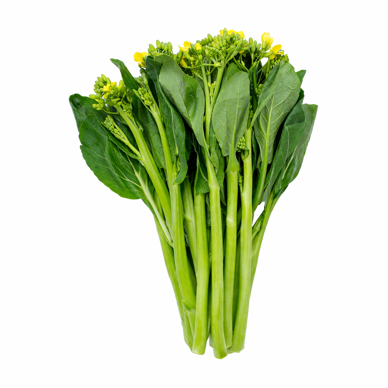 Bok Choy Sum