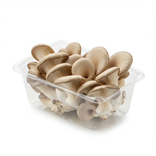 King Oyster Mushroom