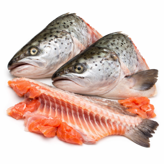 Salmon Head and Bone