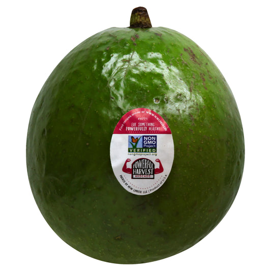 Florida Avocado