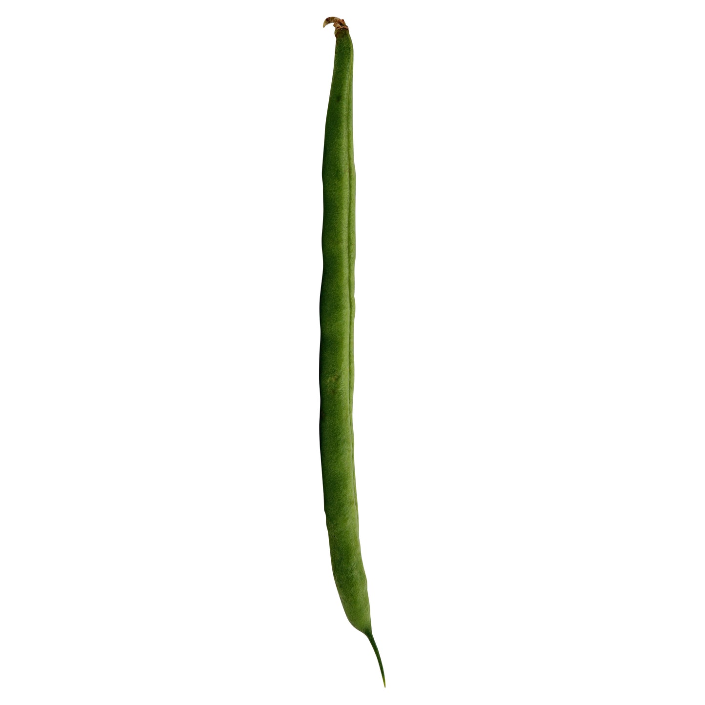 French Green Beans