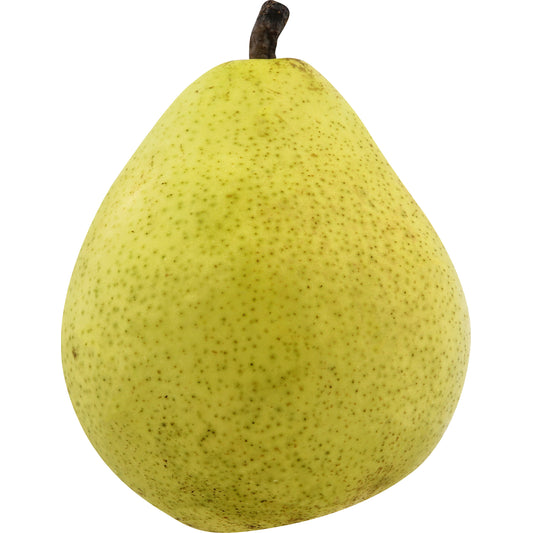 Anjou Pear - Small