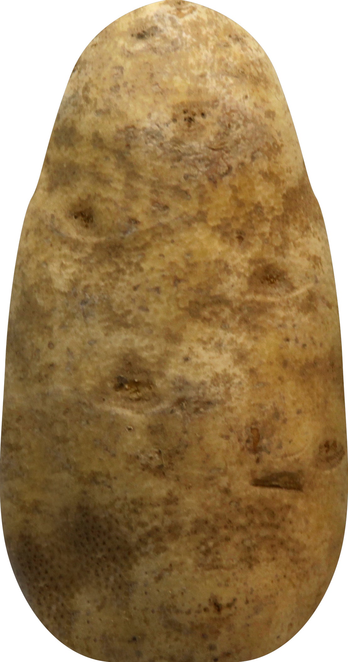 Russet Potatoes - 5LB