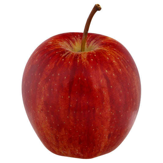 Gala Apple - Large