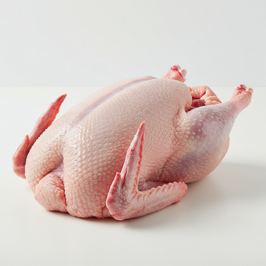 Fresh Duck